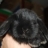 Shell The Rabbit