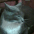 Tanguito